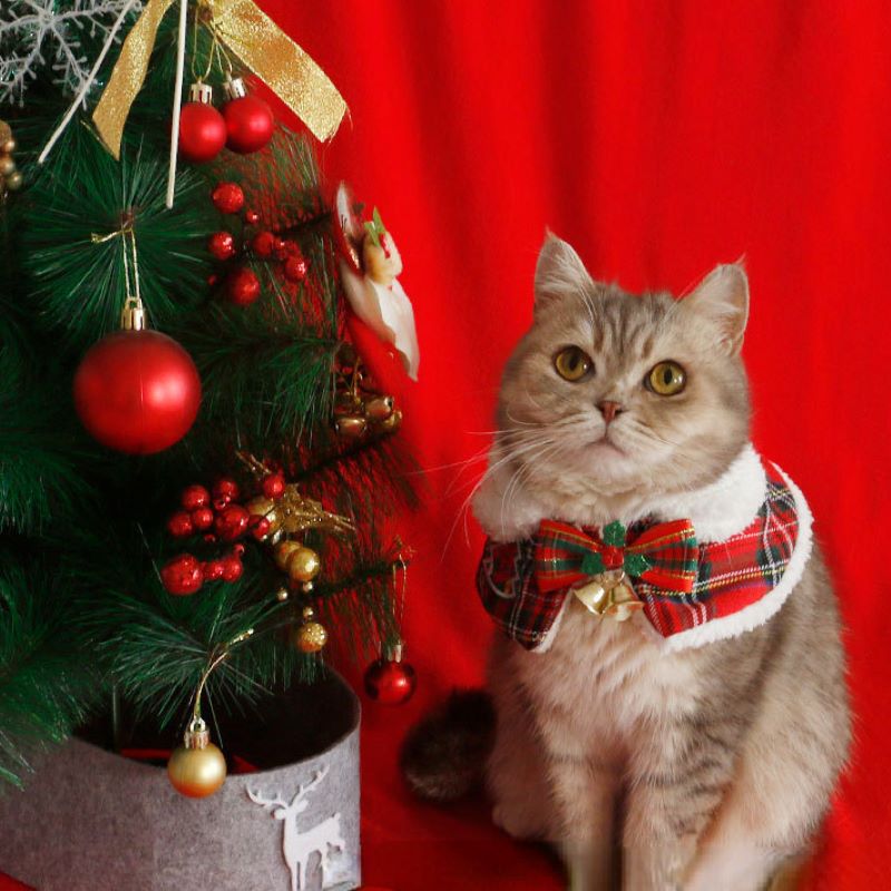 Winter Clothing For Dogs - Mantello natalizio per gatti Pet Capodanno