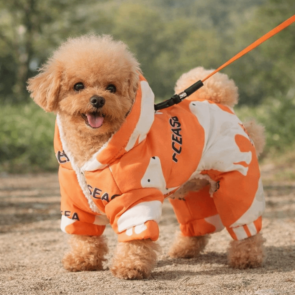 Winter Clothing For Dogs - Carino caldo vestiti invernali per cani
