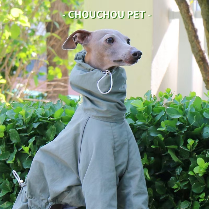 Impermeabile levriero italiano - Winter Clothing For Dogs recensione e prezzo