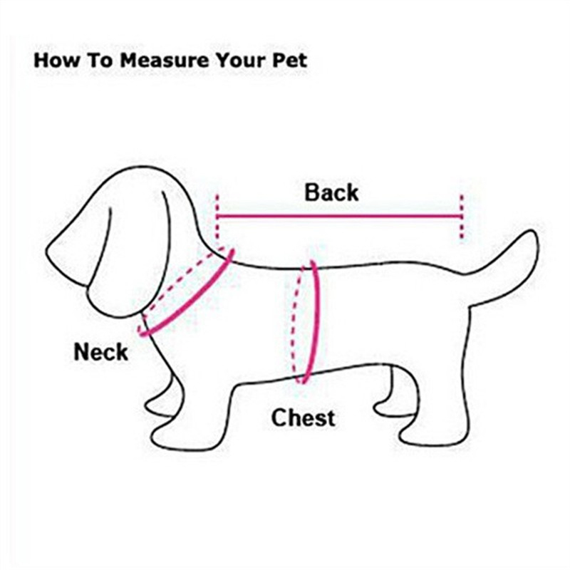 Vestiti invernali per animali  - Winter Clothing For Dogs recensione e prezzo