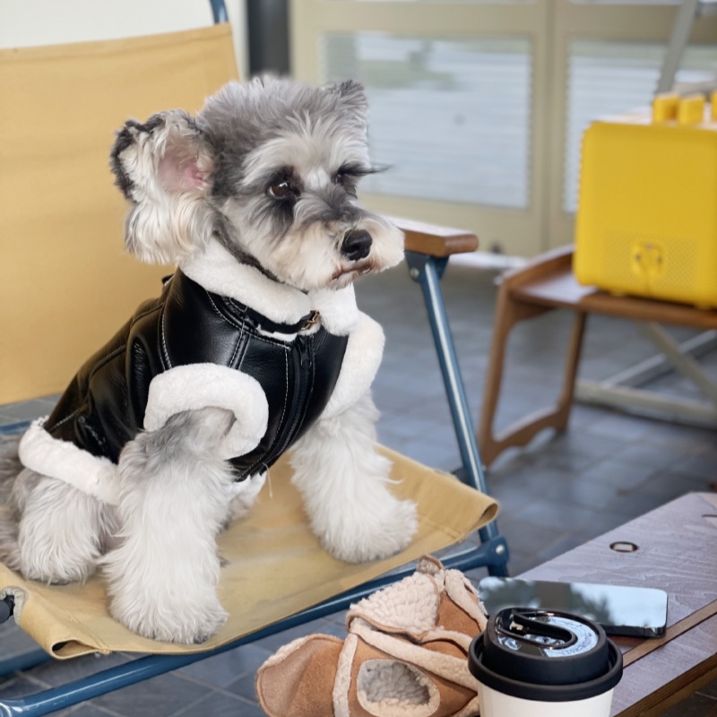 Pet Autunno Inverno Velluto Gi - Winter Clothing For Dogs recensione e prezzo